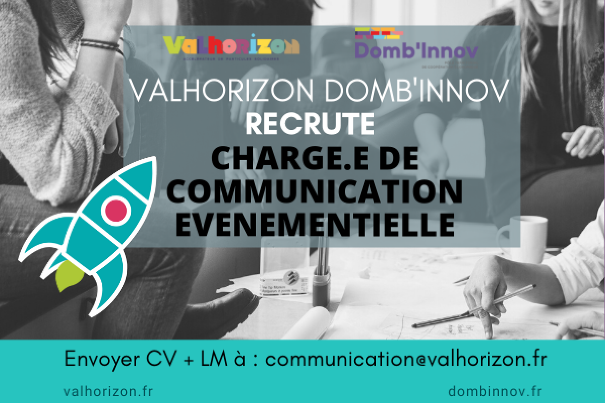 10sept.MODELE Offre demploi VH DI ICARE reseaux sociaux + site DI 2021 11